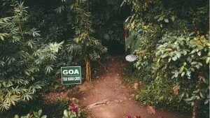 goa tan hana