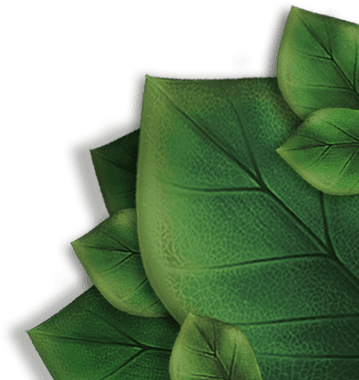 leaves combines 2 leaves combines