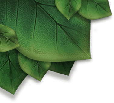 leaves combines leaves combines