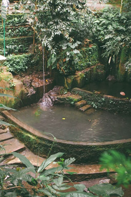 pool Deborah Landsman - sound healing melbourne, sound healing bali,remedial massage melbourne