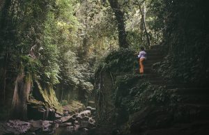 Air terjun di Gianyar - Air terjun Kanto Lampo Gianyar Bali